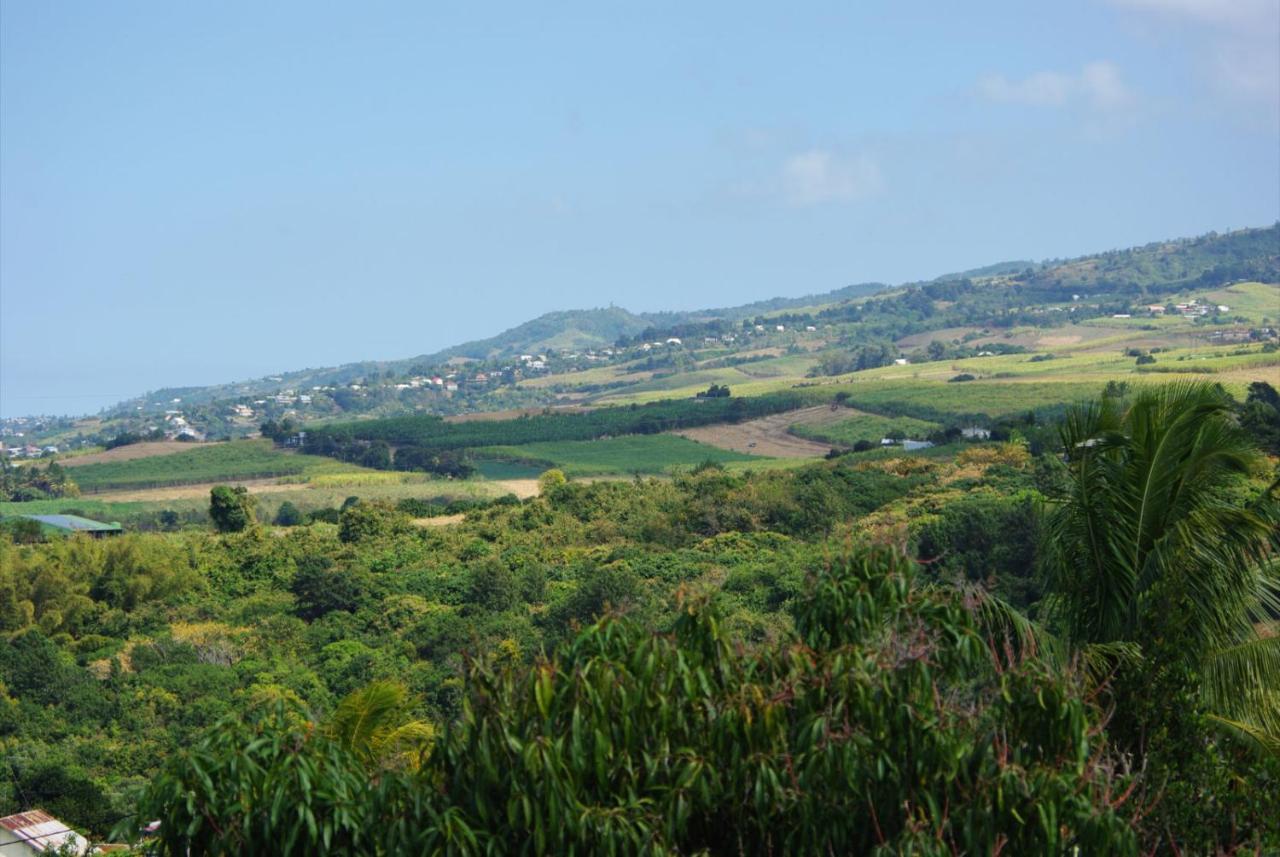Capucine Les Hauts Riviere Saint-Louis Kültér fotó